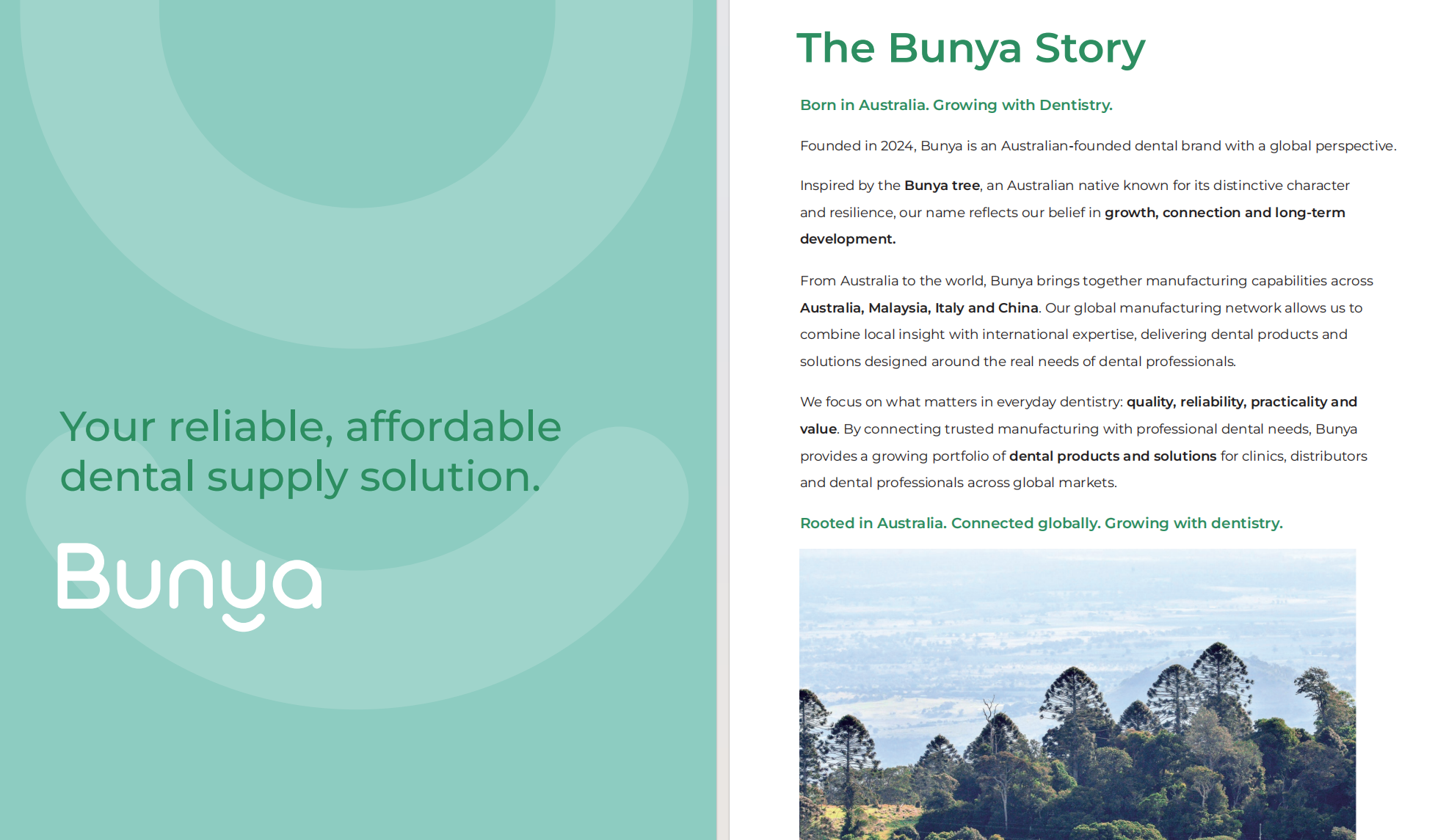 Bunya dental consumables e-catalog preview